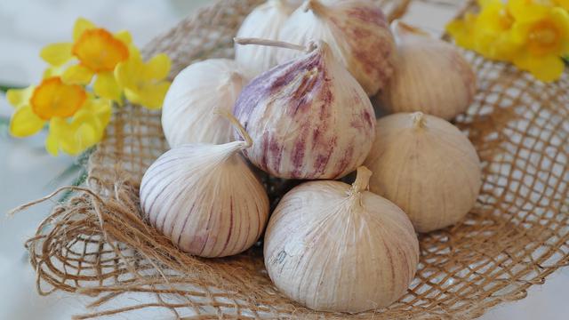 Bakar khasiat bawang putih Khasiat Bawang