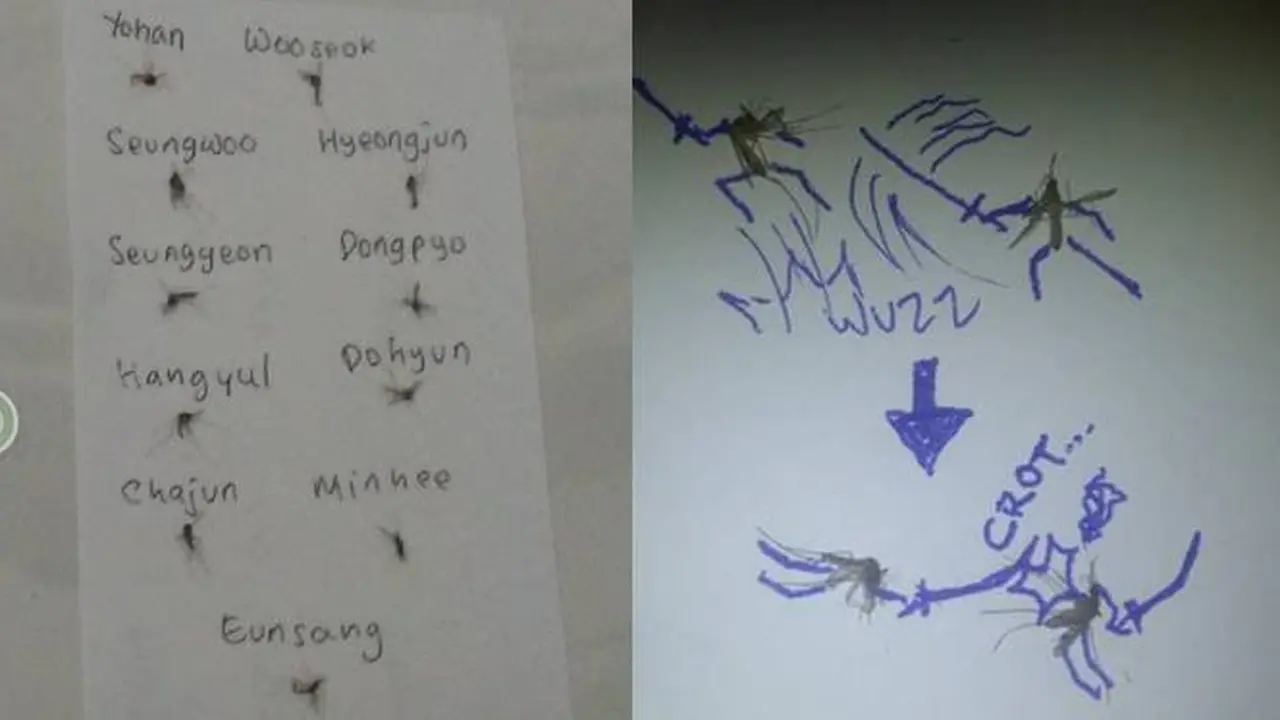 7 Potret Nyeleneh Orang Koleksi Mayat Nyamuk, Ada yang Sampai Bikin Komik