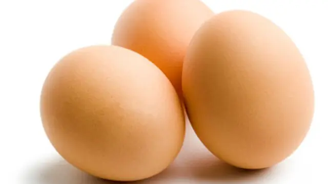 Telur.