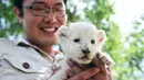 Penjaga kebun binatang He Shubao memeriksa seekor bayi singa putih di taman margasatwa Wild World Jinan, Jinan, Provinsi Shandong, China, Minggu (14/6/2020). Wild World Jinan merayakan satu bulan kelahiran tiga bayi singa putih mereka pada 14 Juni 2020. (Xinhua/Wang Kai)