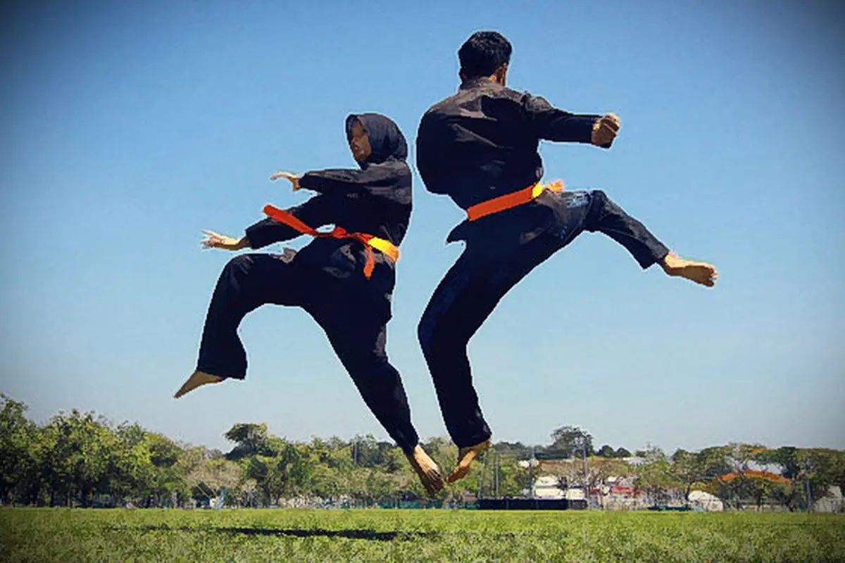 silat-140124c.jpg