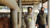 Panitia Kurban Wajib Terapkan Prokes dan Kedepankan Kesehatan Hewan