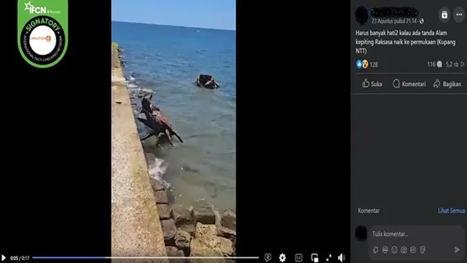 <p>Gambar tangkapan layar video yang diklaim penampakan kepiting raksasa naik ke permukaan di Kupang, NTT. (sumber: Facebook)</p>