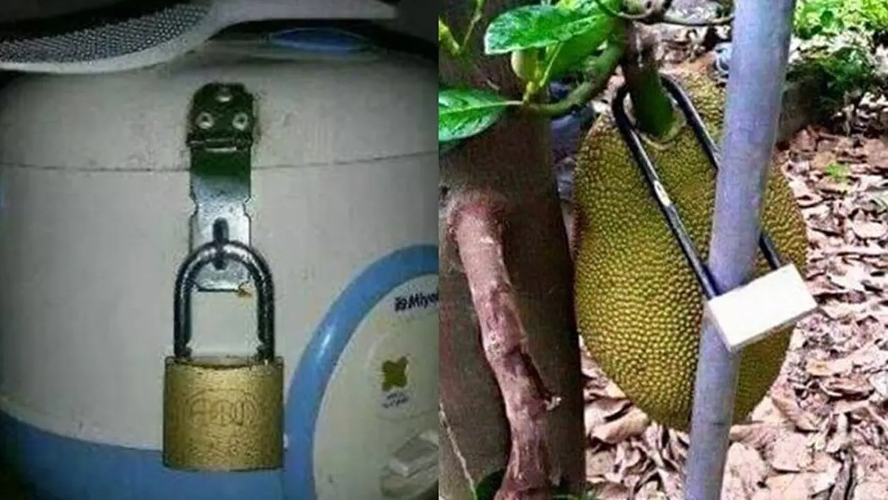6 Kelakuan Kocak Kunci Barang Pakai Gembok Ini Bikin Ketawa