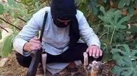 Pernah Jadi Alat Propaganda, Kucing Kini Dilarang dan Diburu ISIS