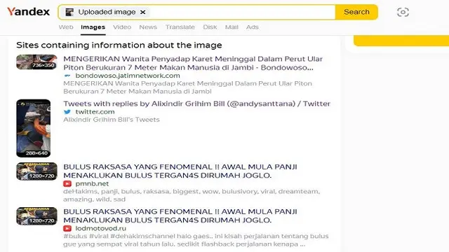 Gambar Tangkapan Layar Penelusuran Foto Menggunakan Situs Yandex.