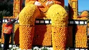 Pekerja merapikan susunan lemon dan jeruk yang menyerupai tubuh wanita di festival lemon, Menton , Prancis (10/2). 140 ton jeruk dan lemon dihabiskan untuk memeriahkan festival ini. (REUTERS/Eric Gaillard)