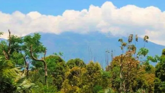 Gunung Raung Hari ini Sabtu (30/7/2022) sebagian tertutup Kabut (Istimewa)