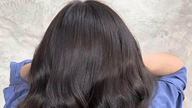 Trend Rambut 2025 Dynamic Brunette