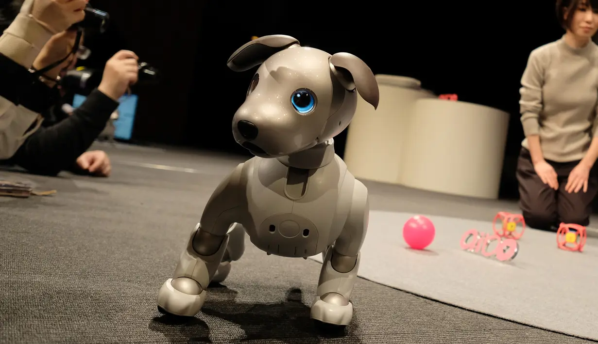 Robot versi ukuran anak anjing "Aibo" pada konferensi pers di Tokyo, 23 Januari 2019. Seekor Aibo dihargai hampir US$ 3.000 atau 42,5 juta rupiah untuk paket tiga tahun, termasuk layanan perangkat lunak seperti penyimpanan data. (Kazuhiro NOGI/AFP)