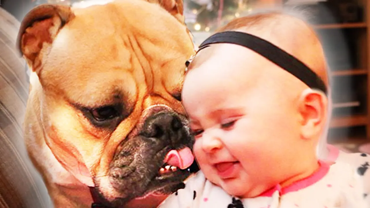 Hubungan Bayi Imut dan Anjing Kesayangannya Ini Bikin Gemas