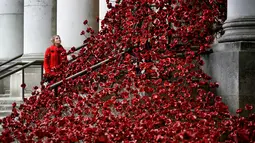 Anna Wigley mendongak ke arah karya seni bunga poppy bertajuk 'Weeping Window' di The Imperial War Museum, London, Kamis (4/10). Karya seni untuk memperingati Perang Dunia I itu akan dipajang hingga 18 November. (AP Photo/Kirsty Wigglesworth)