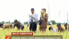 Dalam program ini, Kementerian Pertanian juga memberikan bibit padi unggulan untuk memaksimalkan hasil panen dan menerapkan sistem tanam sawit dupa atau satu kali mawit atau semai dua kali panen sehingga bisa memaksimalkan produktifitas lahan yang di...