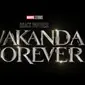 Black Panther: Wakanda Forever (Foto: Imdb)
