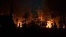 Petugas pemadam kebakaran memadamkan api saat kebakaran hutan dan lahan (karhutla) di Pekanbaru, Riau, Jumat (13/9/2019). BMKG Pekanbaru memperingatkan masyarakat waspada terhadap penurunan kualitas udara dan jarak pandang karena peningkatan polusi. (ADEK BERRY/AFP)