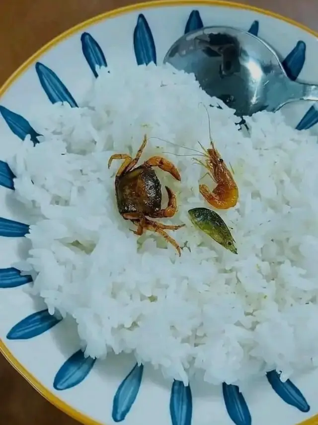 7 Potret Menu Makan Nyeleneh Lauknya Irit Banget Ini Bikin Kasihan