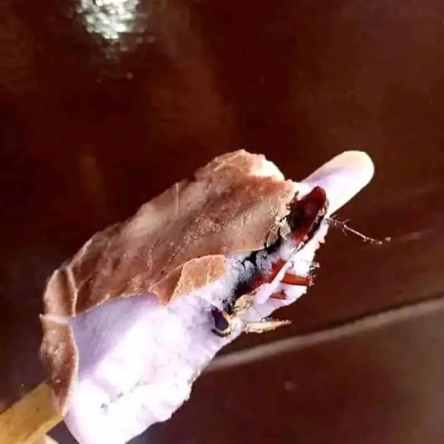 6 Momen Apes Saat Makan Es Krim, Gagal Kembalikan Mood Bahagia