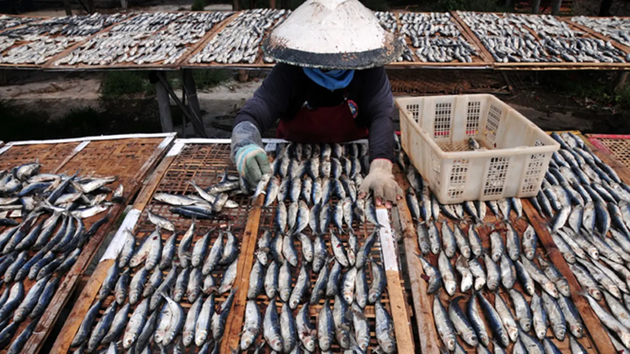 Ikan Asin