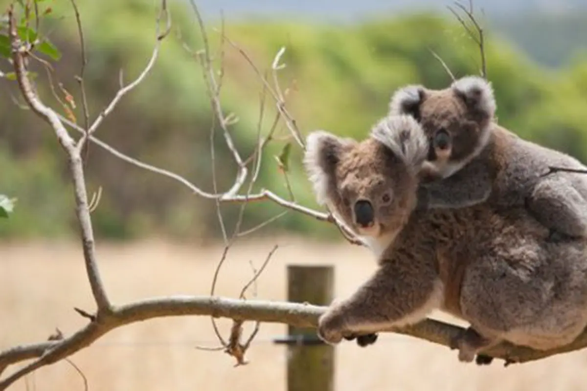 Foto: copyright Thinkstockphotos.com