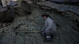  Tim Paleontologi menemukan jejak dinosaurus yang adalah karnivora berkaki dua dengan tinggi sekitar 15 meter di Maragua, Bolivia, 21 Juli 2016. (REUTERS/ David Mercado)