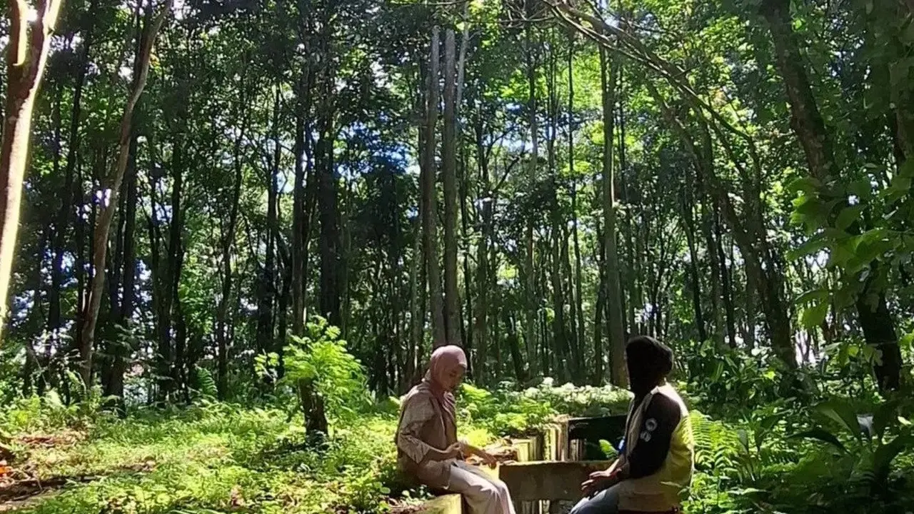 Hutan Kota Rejang Lebong di Provinsi Bengkulu.