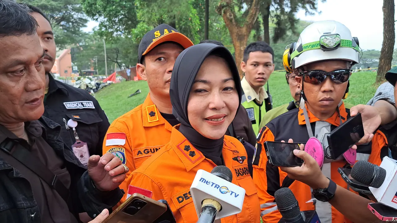Pesawat jatuh