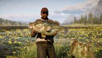 7 Best Fishing Games to Play on Your PC