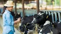 Fokus Kejar Omzet, Produsen Susu Cimory Pangkas Belanja Modal pada 2023