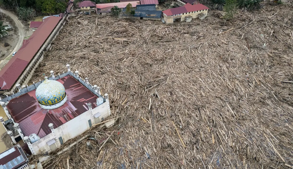 Sementara, area belakang pesantren yang sebelum bencana banjir bandang adalah kawasan asrama santri putra dengan kolam-kolam untuk ternak ikan dan perkebunan, kini dipenuhi potongan kayu besar. Tampak foto udara menunjukkan tumpukan pohon tumbang yang tersapu banjir bandang sekitar tiga minggu lalu di Pesantren Darul Mukhlisin dan masjid yang terhubung dengan pesantren tersebut di Aceh Tamiang, pada Minggu 14 Desember 2025. (Foto oleh AFP)