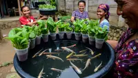 12 Ide Ternak Cepat Panen dan Cepat Balik Modal untuk Ibu PKK, Tingkatkan Ekonomi Keluarga