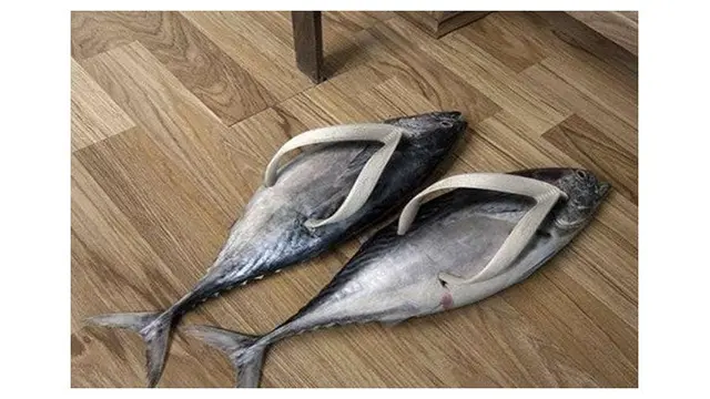 8 Desain Alas Kaki Ini Nyeleneh Banget, Bikin Gagal Paham
