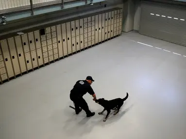 Petugas kepolisian MTA Keith Flood melatih mitranya anjing ras Jerman bernama Doc di sebuah gudang di Kepolisian MTA Canine Training Center, Stormville, New York, (6/6/2016). (REUTERS/Mike Segar)