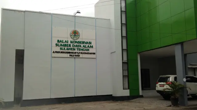 Bom Waktu Buaya di Teluk Palu
