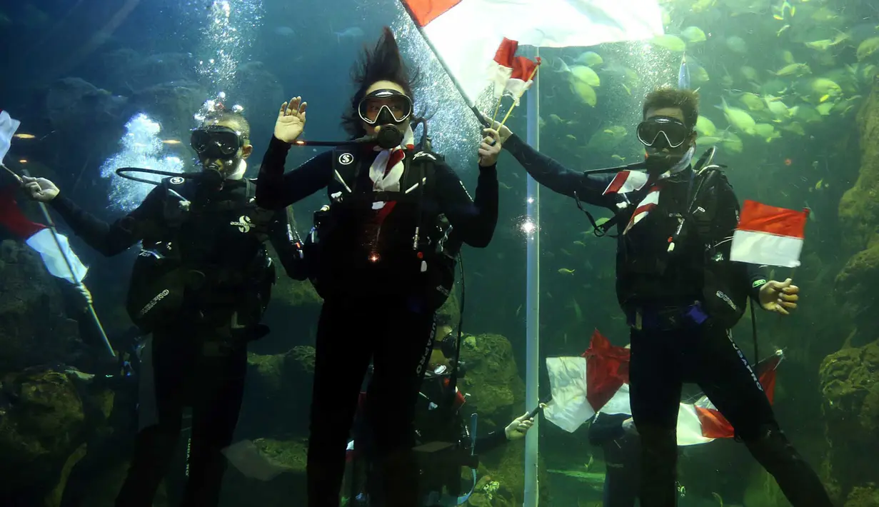 Beruntung saat proses pengibaran, hiu yang menjadi penghuni aquarium sedang tertidur. Selain banyaknya ikan kecil, pari dan masih banyak lagi, aquarium terbesar itu juga dihuni ikan hiu sepanjang 3,5 meter. (Deki Prayoga/Bintang.com)