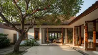 9 Pohon Buah yang Akarnya Bisa Merusak Fondasi Rumah dalam 5 Tahun, Ketahui Cara Mencegahnya