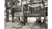 Menilik Kehidupan di Rumah Pohon Kaum Hippie pada akhir 1960an