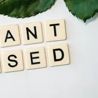 Ilustrasi plant-based | pexels.com/@fuzzy-rescue-1957579