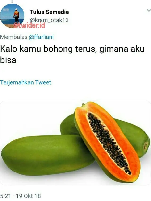 Kejeniusan Warganet Bikin 9 Cuitan Receh Bergambar Ini Kocak Banget