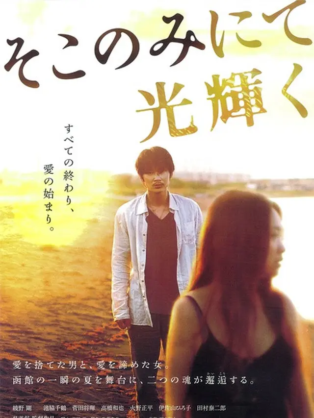 The Light Shines Only There (2014)