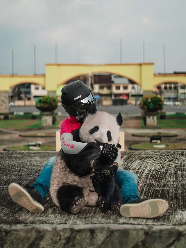 Viral Aksi Pria Bawa Panda di Hari Terakhirnya Jadi Ojol Ini Curi Perhatian