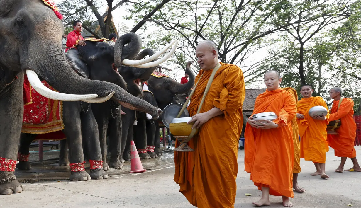 Sejumlah Biksu Buddha memberi pemberkatan kepada gajah saat perayaan Hari Gajah Nasional di kota bersejarah, Thailand, (3/11). Gajah merupakan ikon di negara Thailand. (REUTERS / Chaiwat Subprasom)