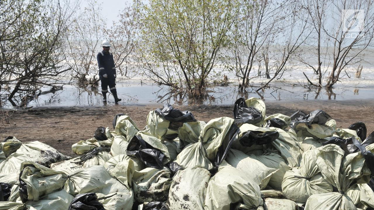Tumpahan Minyak Pertamina Cemari Perairan Muara Gembong