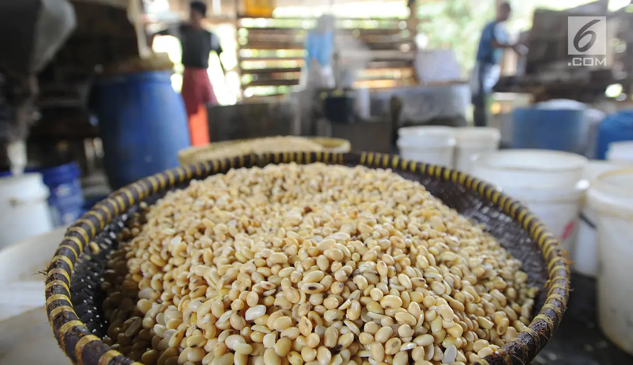 Pekerja memproses kacang kedelai menjadi tahu di Sukaraja, Bogor, Kamis (6/9). Naiknya harga kedelai impor akibat melemahnya nilai tukar rupiah terhadap dolar AS membuat pengrajin mengurangi ukuran dan takaran pembuatan tahu. (Merdeka.com/Arie Basuki)