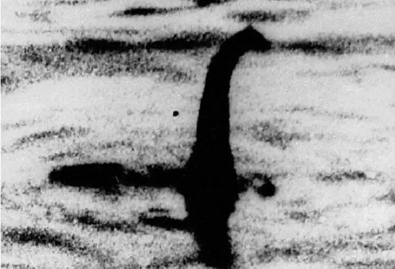 Penampakan monster Loch Ness yang kerap diceritakan dalam mitos orang-orang Skotlandia. (Foto: gwcaia.com)