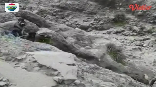 Ditemukan Selamat, Pendaki Gunung Marapi Alami Luka-Luka