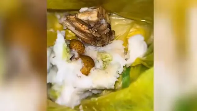 Viral MBG Dikemas Kantong Plastik, Begini Klarifikasi SPPG Karyasari Banten
