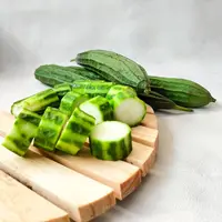 ilustrasi oyong gambas/Nina ND/Shutterstock