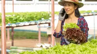 10 Tanaman Produktif untuk Kebun Mini Rumahan agar Belanja Dapur Lebih Hemat