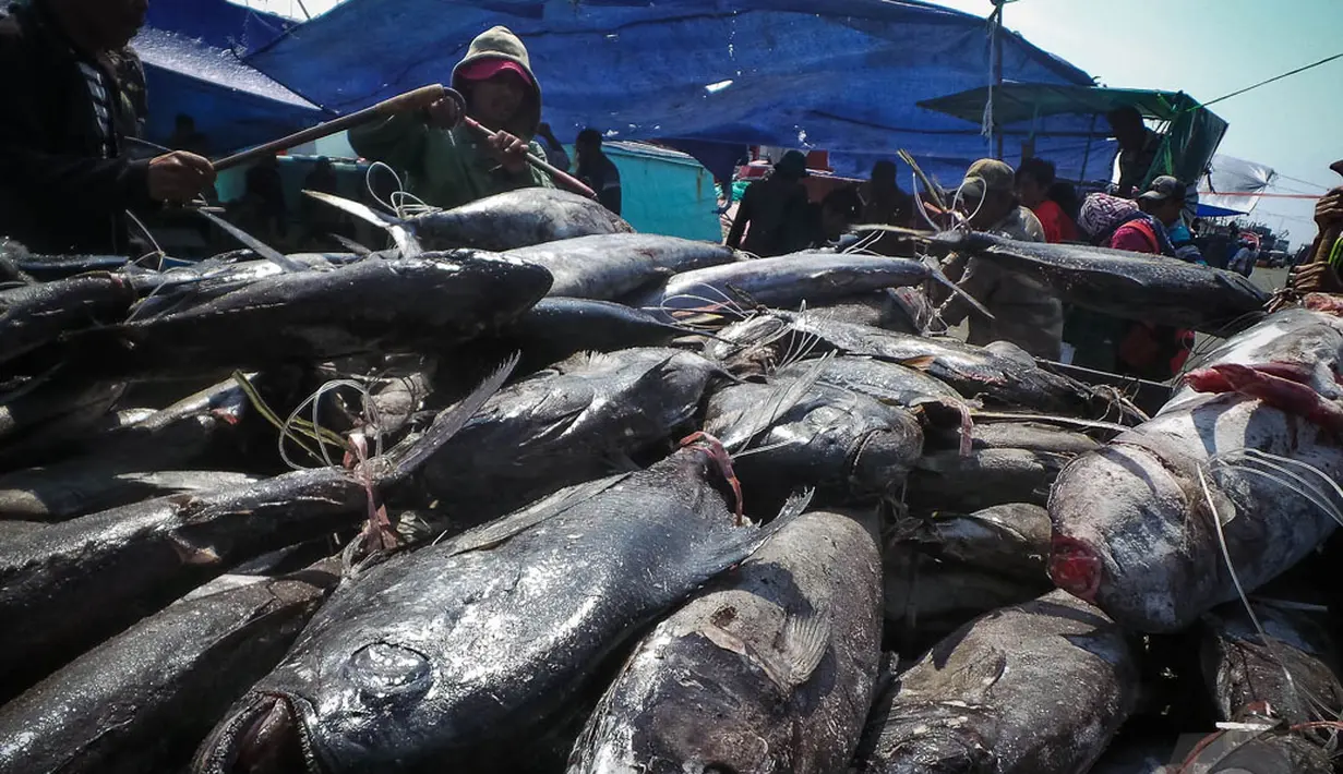 Sejumlah nelayan menurunkan ikan-ikan hasil melaut untuk dijual di kawasan Pelabuhan Muara Baru, Jakarta, Kamis (28/8/2014) (Liputan6.com/Faizal Fanani)