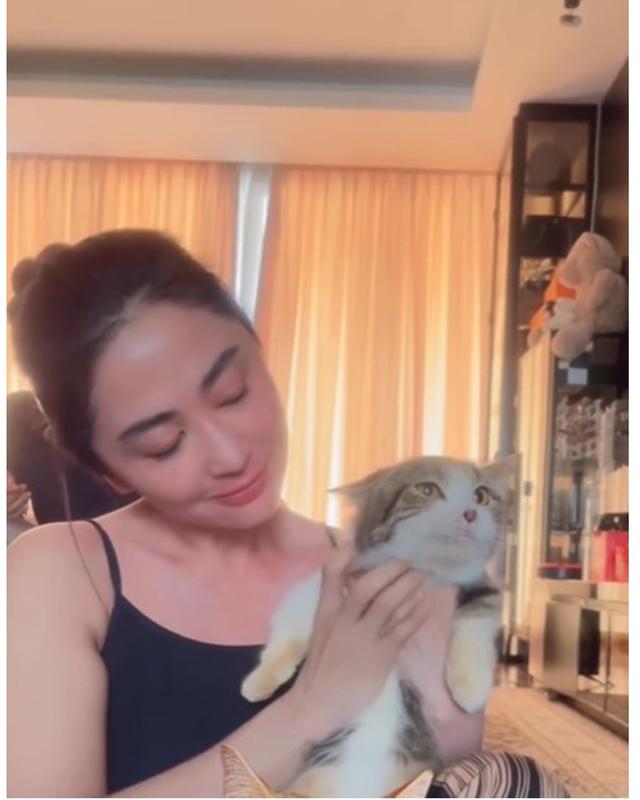 6 Potret Dewi Perssik rawat kucing Eko Patrio yang selamat dari aksi penjarahan